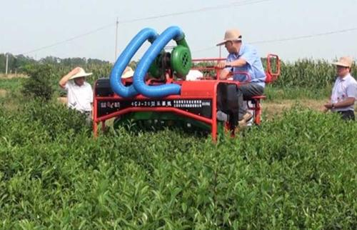 采茶機 采茶機