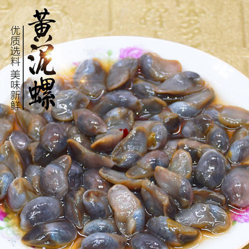 大豐黃泥螺