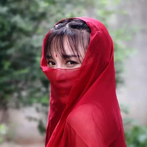 李子柒