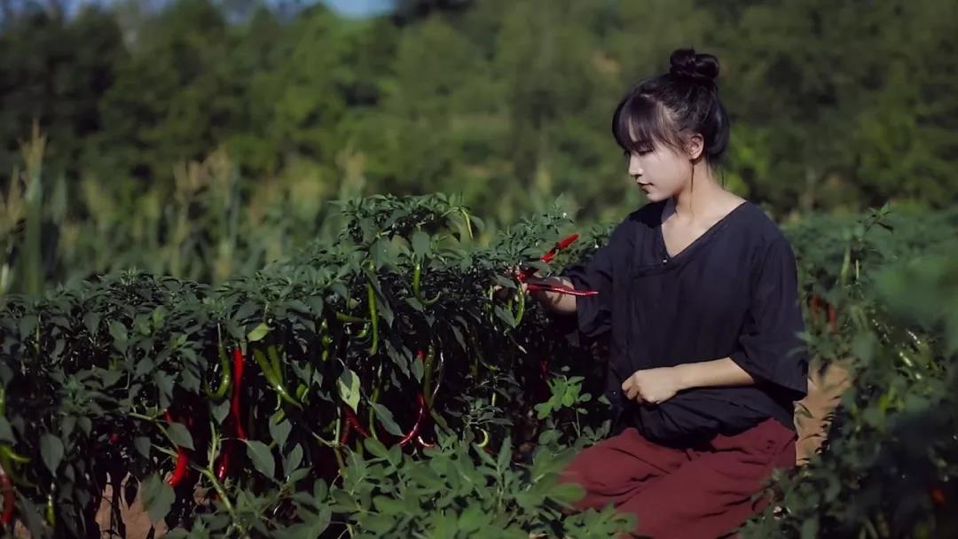 李子柒