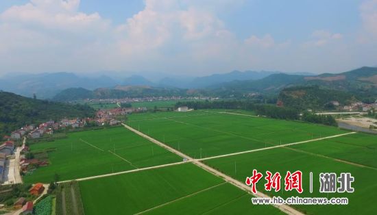 湖北襄陽(yáng)成功注冊(cè)“中國(guó)有機(jī)谷”集體商標(biāo)