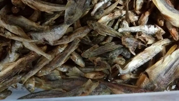 "武寧棍子魚"成功注冊地理標(biāo)志證明商標(biāo)