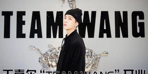 王嘉爾注冊多個“TEAM WANG DESIGN”商標